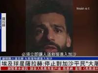  萨列里与莫扎特完整免费版 -华体会全站