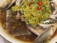 橄榄球预选赛焦点战：庐州迅豹队淘汰对手庐州巨龙队，外线火力全开。教练团队居功至伟(巨石达阵橄榄球)-华体会app