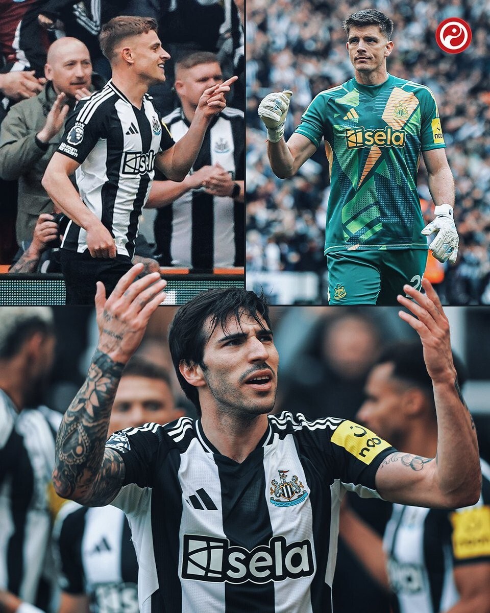 包含今晚纽卡斯尔主帅复盘:欧冠节点到来,信心回归,年轻球员得到机会的词条 包含今晚纽卡斯尔主帅复盘:欧冠节点到来,信心回归,年轻球员得到机会的词条